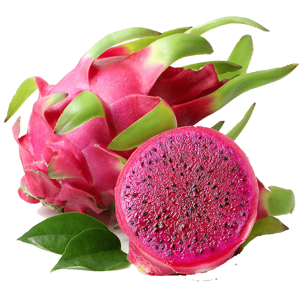 1-MCP dragon fruit