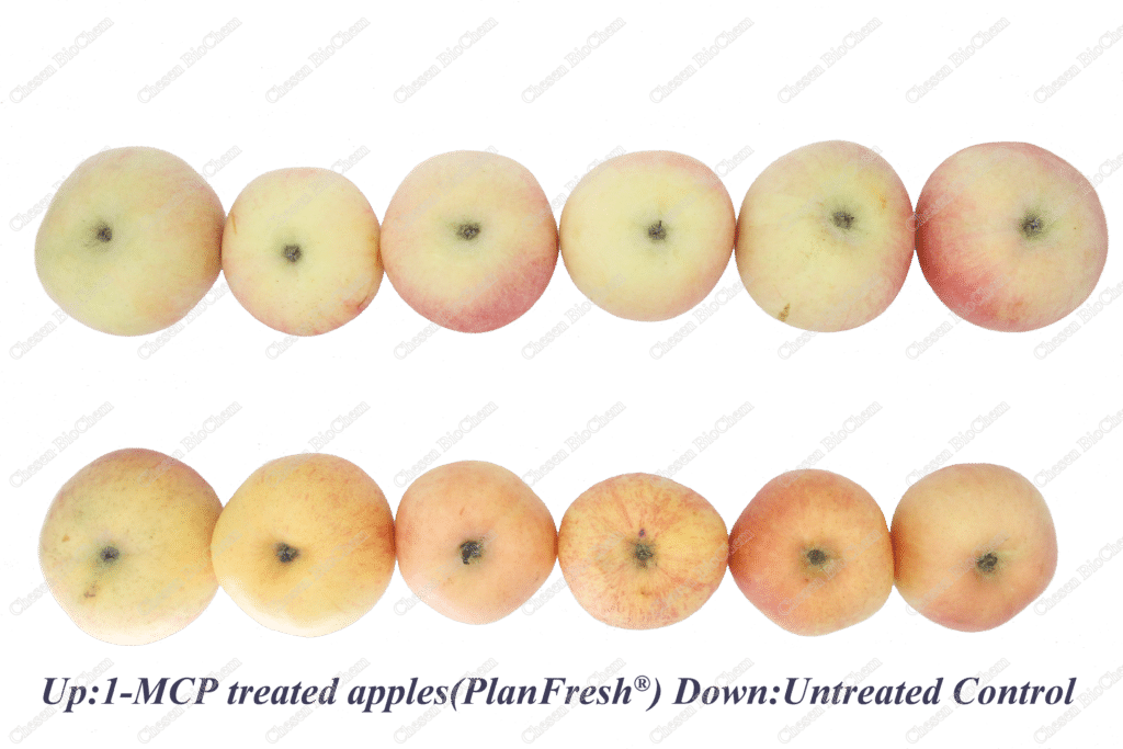 PlanFresh 1-MCP apple