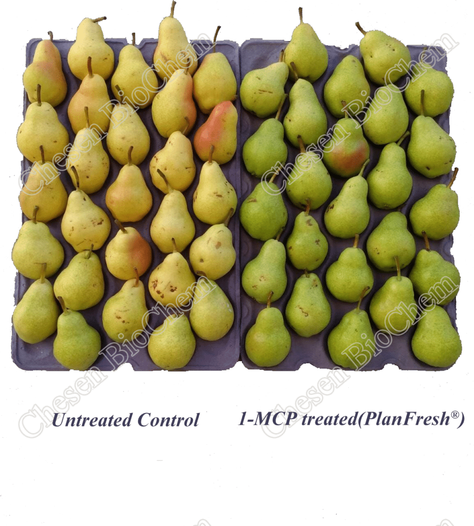 PlanFresh 1-MCP pear