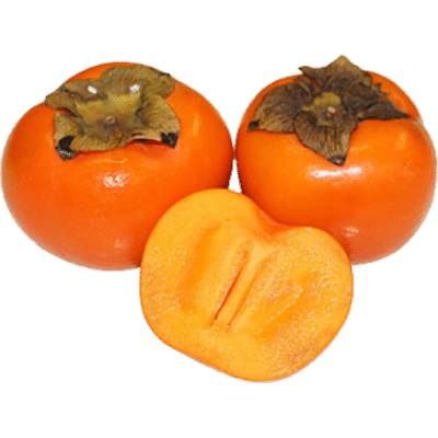 1-mcp on persimmon