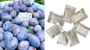 PlanFresh 1-MCP on plums