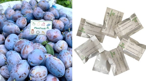 PlanFresh 1-MCP on plums