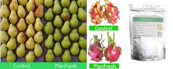 PlanFresh 1-MCP application
