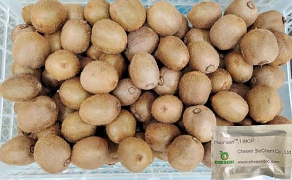PlanFresh 1-MCP on kiwis