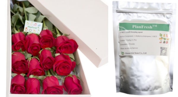 PlanFresh 1-MCP on flowers