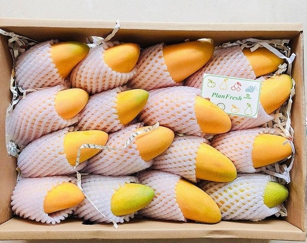 PlanFresh 1-MCP on mangoes