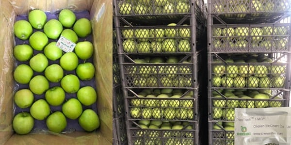 PlanFresh 1-MCP on Granny Smith