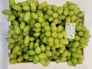 1-MCP on Table Grape(2)
