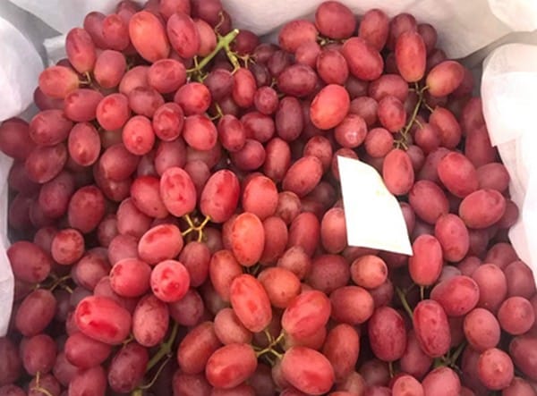 1-MCP on Table Grape